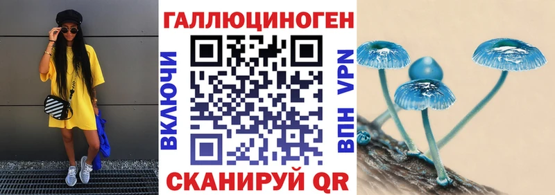 Псилоцибиновые грибы Psilocybe  хочу наркоту  Семикаракорск 