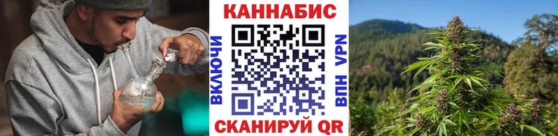 Шишки марихуана марихуана  сайты даркнета какой сайт  Семикаракорск 